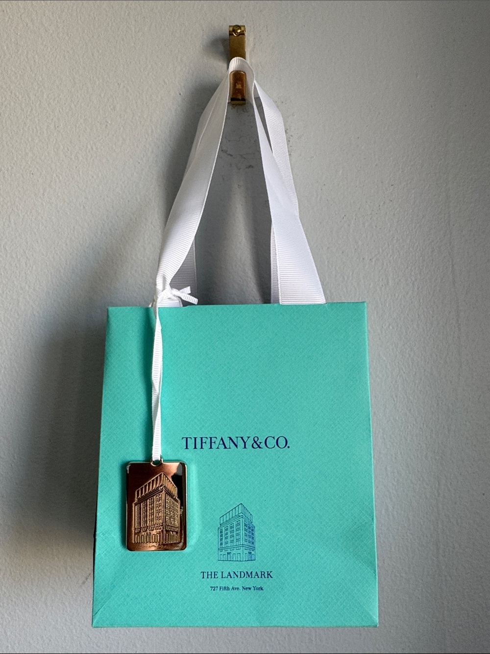 Tiffany & Co. Tiffany Blue Gift Bag with White Ribbon and Tag